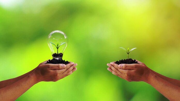 Exchange,Of,Trees,And,Trees,Planted,In,Light,Bulbs,To